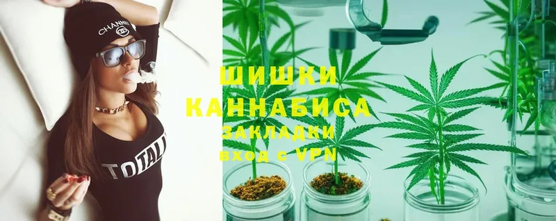 Бошки марихуана White Widow  Камызяк 